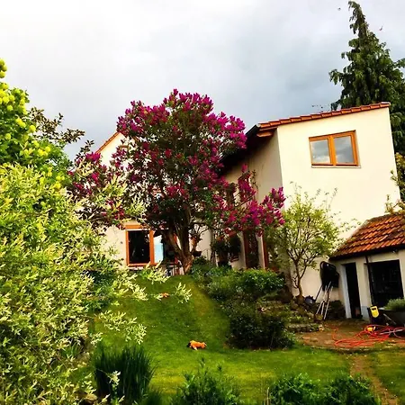 Herzensort - Idyllisches Gaestehaus Fuer 2 Im Garten Prázdninový dům Rödermark